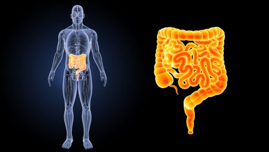9 lucruri despre intestinul iritabil