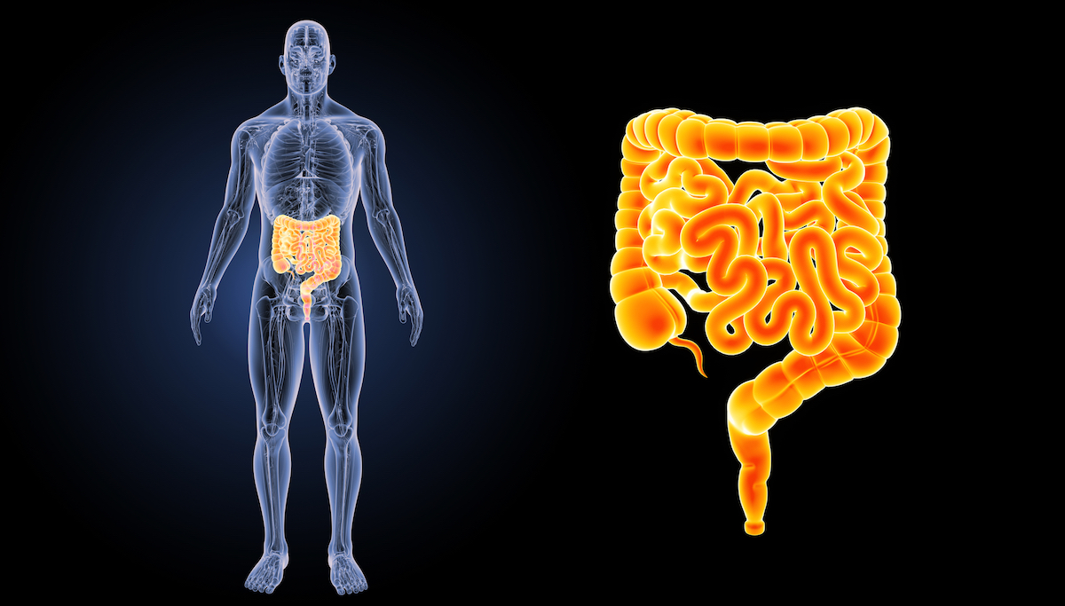 9 lucruri despre intestinul iritabil